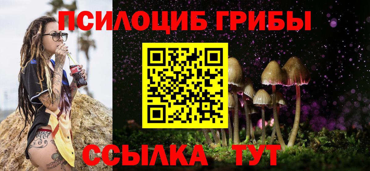 Псилоцибиновые грибы GOLDEN TEACHER Горно-Алтайск